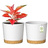 ZMTECH Macetas, 2 Piezas De Plástico De 25 cm con Agujero De Drenaje y Platillo, Maceta Decorativa Moderna para Plantas De Interior, Suculentas y Flores - Blanco