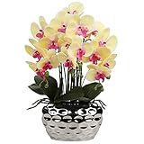 Oairse Planta Artificial orquídeas Decorativas como Flores Reales Ligero Maceta de cerámica decoración de Mesa alféizar de Ventana Altura 44 cm Amarillo