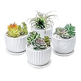 Juego de 4 Macetas de Cerámica Suculentas de 10,6 cm 4 Pulgadas con Posavasos Conectados, Mini Maceteros con Orificio de Drenaje para Cactus y Pequeñas Plantas de Serpiente (Sin Plantas) (Blanco-4)