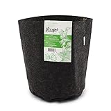 Bolsa/Maceta Geotextil para el cultivo Flexapot Gris 1 GAL (3,8L)