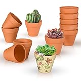 Ulikey Macetas de Terracota, Arcilla de Terracota Rojo 5cm Paquete de 12, Maceta de Pequeñas, Macetas Suculentas, Macetas de Barro Rojo, Mini Macetas de Terracota para Plantas Semillas Cactus