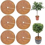 LYNBLY Disco de Coco, 6 Piezas 20cm Estera de Coco protección, Disco de Fibra de Coco Protección de Invierno para Plantas de Maceta, Disco de Protección de Plantas Protección contra Heladas