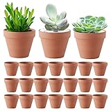 LUFEIS Mini Maceta de Barro, 24Pcs 3.5cm Macetas pequeñas, Macetas de Barro Rojo, Macetas de cerámica para Plantas Semillas Cactus Macetas Suculentas Macetas para Plantas Artesanías Favor de la Boda