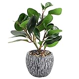 Plantas artificiales en maceta, pequeñas de imitación para interiores, plástico aspecto real, con rústica cemento negro para decoración del hogar, oficina, escritorio, mesa comedor, baño, cocina