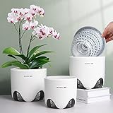 Meshpot Macetas de Orquídeas de 12 cm con Agujeros,Conjunto de 2,Doble Capa de Plástico Imitar Cerámica Orquídea Plantador,Macetas de Orquídeas Transparente Match Contenedor Decorativo de Orquídeas