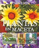 Plantas En Maceta (Plantas De Jardín)