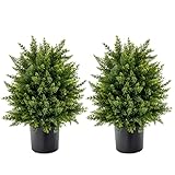 GIANTEX Juego de 2 Árboles Artificiales de Cedro de 55 cm, Plantas Falsas de Arbusto en Maceta con Cemento para Decoración Interior y Exterior