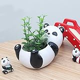 Binoster Macetas de Plantas, Lindas macetas con Forma de Animales de Dibujos Animados florero macetas, contenedores, macetas de decoración del hogar, Mini Ornamento de Escritorio (Tortuga) (Panda)