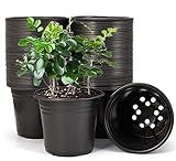 KAHEIGN 50 Pcs 15cm Plastico Macetas De Plantas Ligero Macetas De Inicio De Semillas Macetas De Plántulas De Vivero Contenedor De Plantas De Flores (15 x 13cm, Negro)