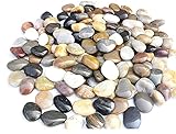 Guijarros Decorativos Naturales Piedras Decorativas pulidas Guijarros Naturales Grava para Piedras de jardín 2-4 cm 900g Guijarros jardín/Acuarios/Decoración de Plantas