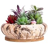 Maceta Grande para Plantas suculentas, Recipiente Redondo para Plantas de Flores de Cactus con Bandeja de Drenaje Maceta de bonsái de mármol Poco Profunda