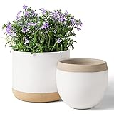 Macetas de Cerámica Blanca para Plantas - Maceteros de Interior de 16.5 + 12.4 cm, Macetas para Plantas con Detalles Beige y Agrietados