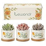 Lewondr Macetas de Suculentas Pequeñas, 3 PZS Mini Macetas Decorativas Cerámica para Cactus Plantas con Bandeja, Caja de Regalo con Tarjeta de Felicitación para Cumpleaños Mujer Mamá Amigas, Amarillo