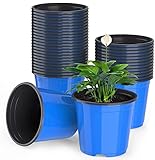 LATERN 50Pcs 15cm Macetas de Plantas de Plástico, Azul Ligero Macetas de Inicio de Semillas Macetas de Plántulas de Vivero Contenedor de Plantas de Flores (15 x 13cm)