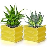 BELLE VOUS Macetas Decorativas Amarillas (Pack de 2) Pequeños Tiestos para Plantas 10 cm - Diseño Plegado Moderno con Agujero de Drenaje - Interior/Exterior para Plantas, Suculentas, Hierbas y Cactus