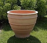 Palatina Werkstatt Maceta grande XXL de terracota, 70 cm de diámetro, resistente al invierno, para jardín, terraza, balcón, Buxus, 70 cm