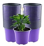 LATERN 50Pcs 15cm Macetas de Plantas de Plástico, Morado Ligero Macetas de Inicio de Semillas Macetas de Plántulas de Vivero Contenedor de Plantas de Flores (15 x 13cm)