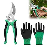 Tijeras Plantas, Tijeras De Podar, Tijeras De Podar De Mano, Tijera Podar, Tijeras Jardineria, Tijeras Podar Pequeñas, Tijeras De Jardín, con Guantes de Jardinería, arbustos, cercas, plantas de jardín