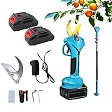 3m Pértiga Telescópica 40mm Tijera De Podar Eléctrica Con Pantalla LCD Podadera Con Cuchilla De Repuesto Para Olivo, Viñedo Y Jardín 2 Baterías De Litio De 2000 Mah (Color : Battery cell x10)