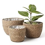 La Jolíe Muse Cesta de Plantas de Hierba Marina en el Interior y en el Exterior, Cubierta de Macetas, Contenedores de Plantas, Natural (3-Pack), 26cm+22cm+16cm