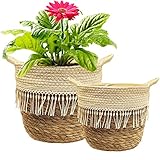 KMERCE Cesta Grande para Plantas de Interior, 2 cestas de Flores Trenzadas de Hierba Marina, Maceta Boho con Asas, Cesta de Almacenamiento, 20 cm y 25 cm de diámetro