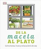 De la maceta al plato: Cultiva hierbas, frutas y verduras dentro de casa (Jardinería)