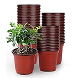 LATERN 50Pcs 15cm Macetas de Plástico para Plantas Macetas de Inicio de Semillas Livianas Macetas de Vivero Macetas Contenedor de Plantas de Flores(15 x 13 cm)