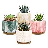 Lewondr Macetas de Cerámica para Flores y Plantas, [4 PZS / 9 x 9 x 6,5 cm] Conjunto de Contenedor Plantador con Bandeja de Bambú y Agujero para Suculenta Cactus Oficina Casa Ventana, Multicolor