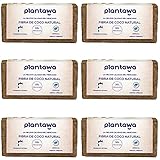 PLANTAWA Fibra de Coco 60L, 10L x 6 Bloques Sustrato de Coco, Fibra de Coco Natural, Tierra para Plantas Uso Huerto Urbano Terrario Plantas Exterior Turba para macetas