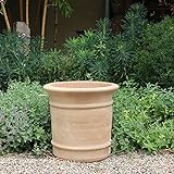 Kreta Keramik | Macetero de terracota resistente a las heladas, para plantas de interior y exterior, Canna (35 cm)